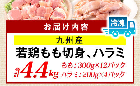 九州産若どり4.4kg小分けセット 若どり 鶏肉 小分け