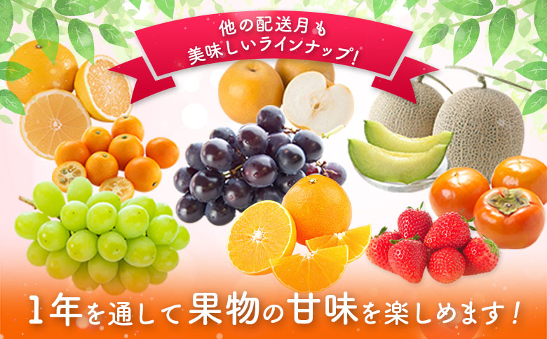 旬の宮崎 フルーツ 厳選便＜全12回＞定期便 国産 果物 おすすめ 旬 宮崎県産 産地直送 マンゴー ライチ いちご ふどう メロン【G48】
