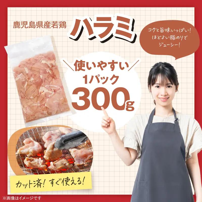 鹿児島県産 若鶏 ハラミ 3kg セット KN105-017 肉 鶏肉 冷凍