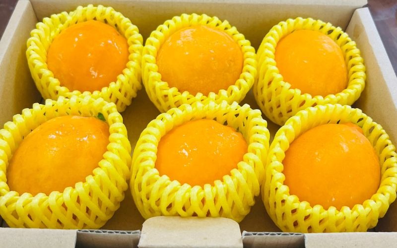 【もぎたて直送！】皮まで美味しい 黄金レモン 6個セット 約720g  / レモン ハウスレモン 檸檬 果物 くだもの 柑橘 高糖度 果汁 酸味 旬 新鮮 産地直送 【wakuyaengei004】 