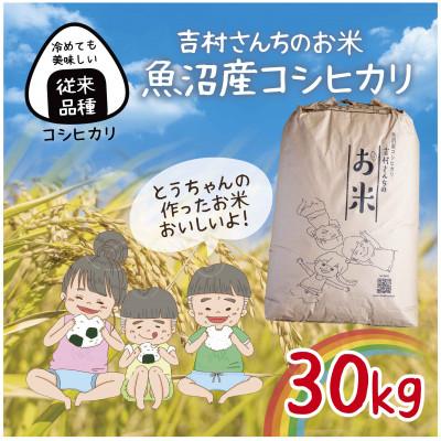ふるさと納税 十日町市 令和7年産 |従来品種| 魚沼産 コシヒカリ 精米 30kg 吉村さんちのお米