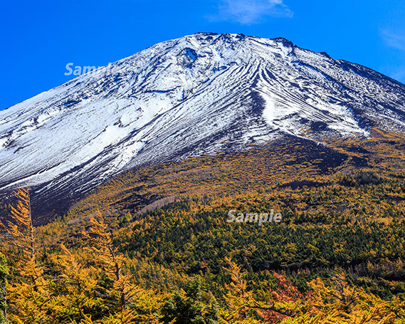 
富士山フォトパネル（秋の空） NSF007
