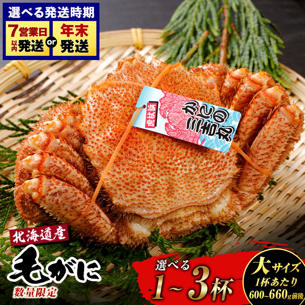 【ふるさと納税】【大サイズ】北海道産 冷凍ボイル毛ガニ 選べる1尾〜3尾 (1尾600g-660g前後) 選べる発送月毛がに 毛ガニ 毛蟹 蟹 カニ 北海道ふるさと納税 白老 ふるさと納税 北海道 年末