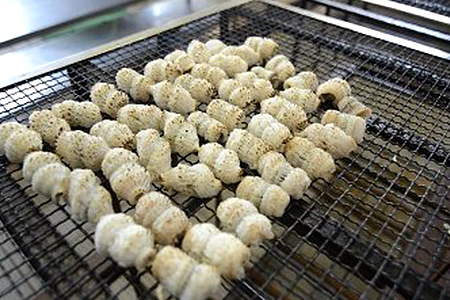 のぞみ 湯引き 炙はも 350g【2026年5月上旬から12月上旬発送予定】