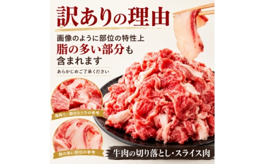 訳あり!＜A4～A5＞この味プレミアム!博多和牛切り落とし 500g(250g×2p)【1767488】