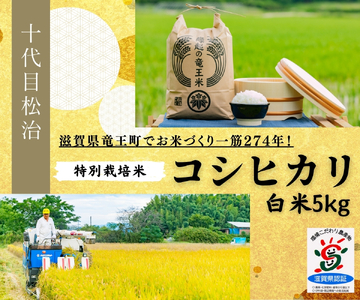 【新米】 コシヒカリ 白米 5kg 縁起の竜王米 令和7年産