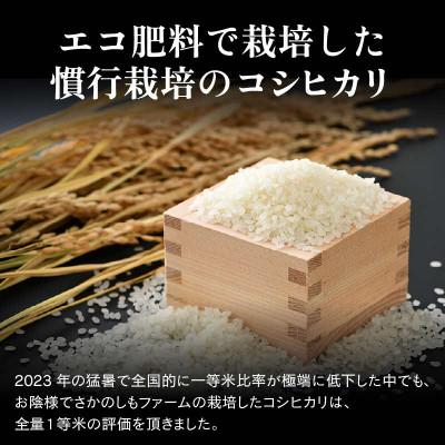 ふるさと納税 あわら市 【毎月定期便】【一等米】 エコ栽培コシヒカリ　精米5kg全6回 |  | 01