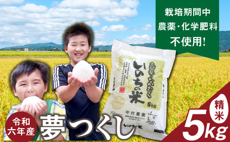 令和7年産夢つくし（精米）5kg中村農園いのちの米_令和7年産 夢つくし 5kg 精米 いのちの米 つややか 光沢 もちもち 食感 粘り 甘み 国産 米 白米 新米 ブランド米 ご飯 白飯 おにぎり おむすび 弁当 主食 食品 食べ物 グルメ お取り寄せ お取り寄せグルメ 福岡県 久留米市 送料無料 〔Gr059〕