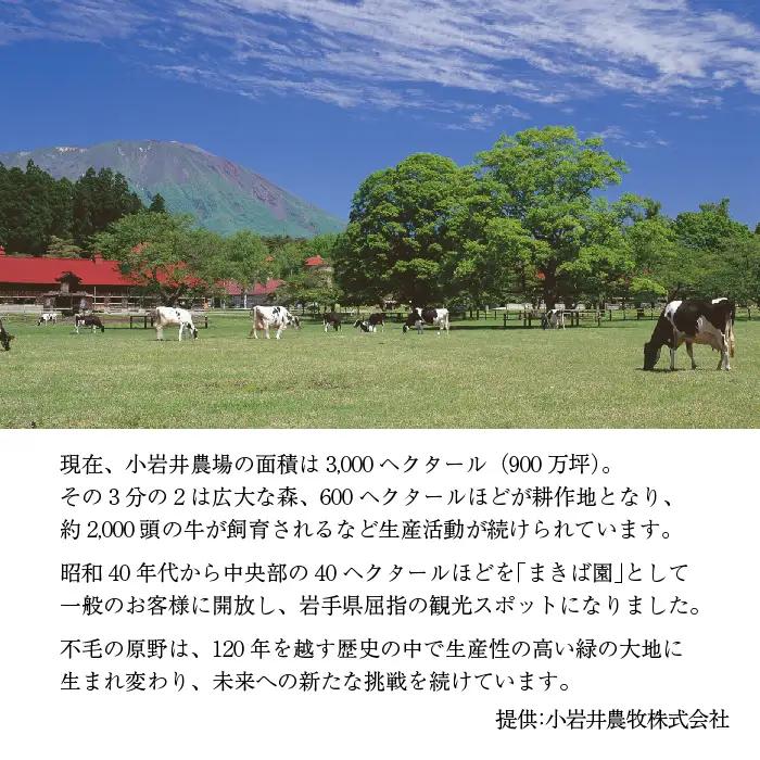 小岩井農場 小岩井純良バター 復刻版ラベル 3個 セット ／ 人気 バター 醗酵バター 本格派 ヨーロッパタイプ 限定品 限定ラベル 乳製品 個包装 小分け お取り寄せ ギフト プチギフト 贈答用 贈