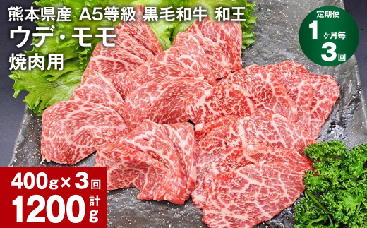 
【1ヶ月毎3回定期便】熊本県産 A5等級 黒毛和牛 和王 ウデ・モモ 焼肉用 400g 計1200g
