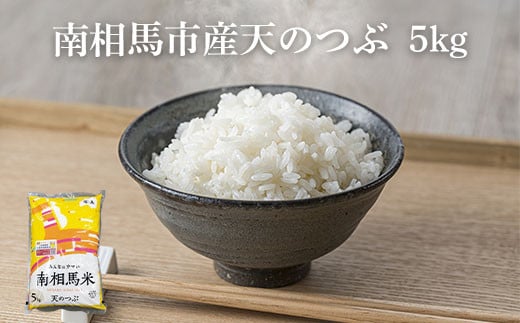 【先行予約】白米 5kg 天のつぶ 令和7年産 | 精米コメ ごはん ブランド米 大粒 福島 福島県産 南相馬 ふくしま未来農協 JA