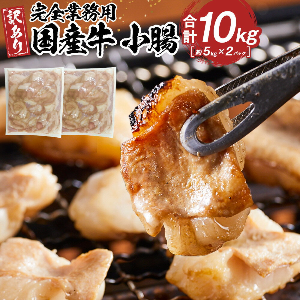 【ふるさと納税】《完全業務用》国産牛　小腸　10kg | 肉 お肉 にく 食品 人気