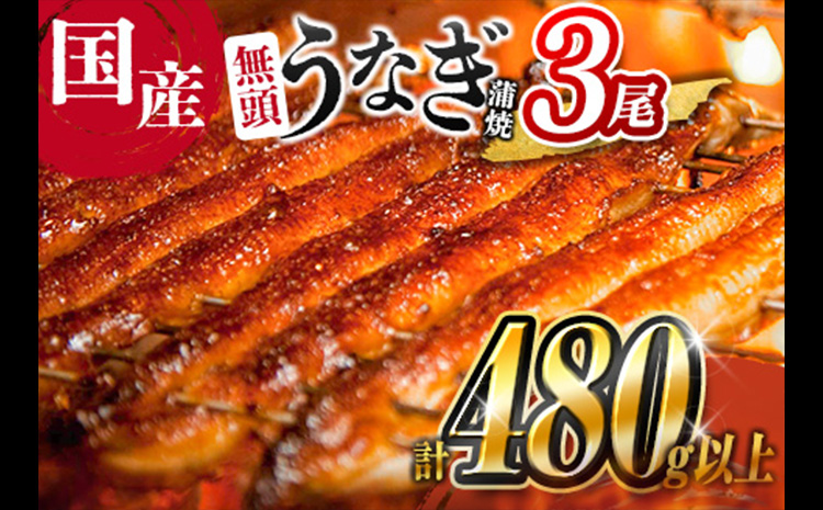 ［2026年8月お届け］うなぎ 鰻楽 国産 蒲焼 3尾 人気 無頭 計480g以上 贈答品 ギフト【C444-2608】