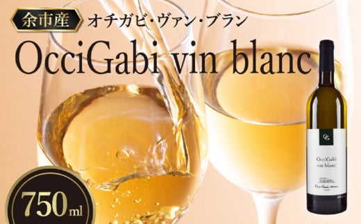 【OcciGabi Winery】オチガビ・ヴァン・ブラン_Y012-0092