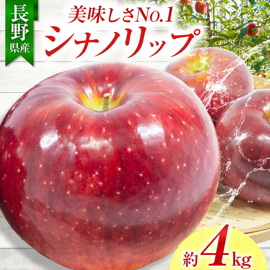 【ふるさと納税】 りんご シナノリップ 信州産の夏りんご 美味しさNO.1 さわやかな酸味 シナノリップ 約4kg | 果物 フルーツ 林檎 りんご シナノリップ 長野県 オリジナル 品種 伊那市 【012-64】8月中旬発送