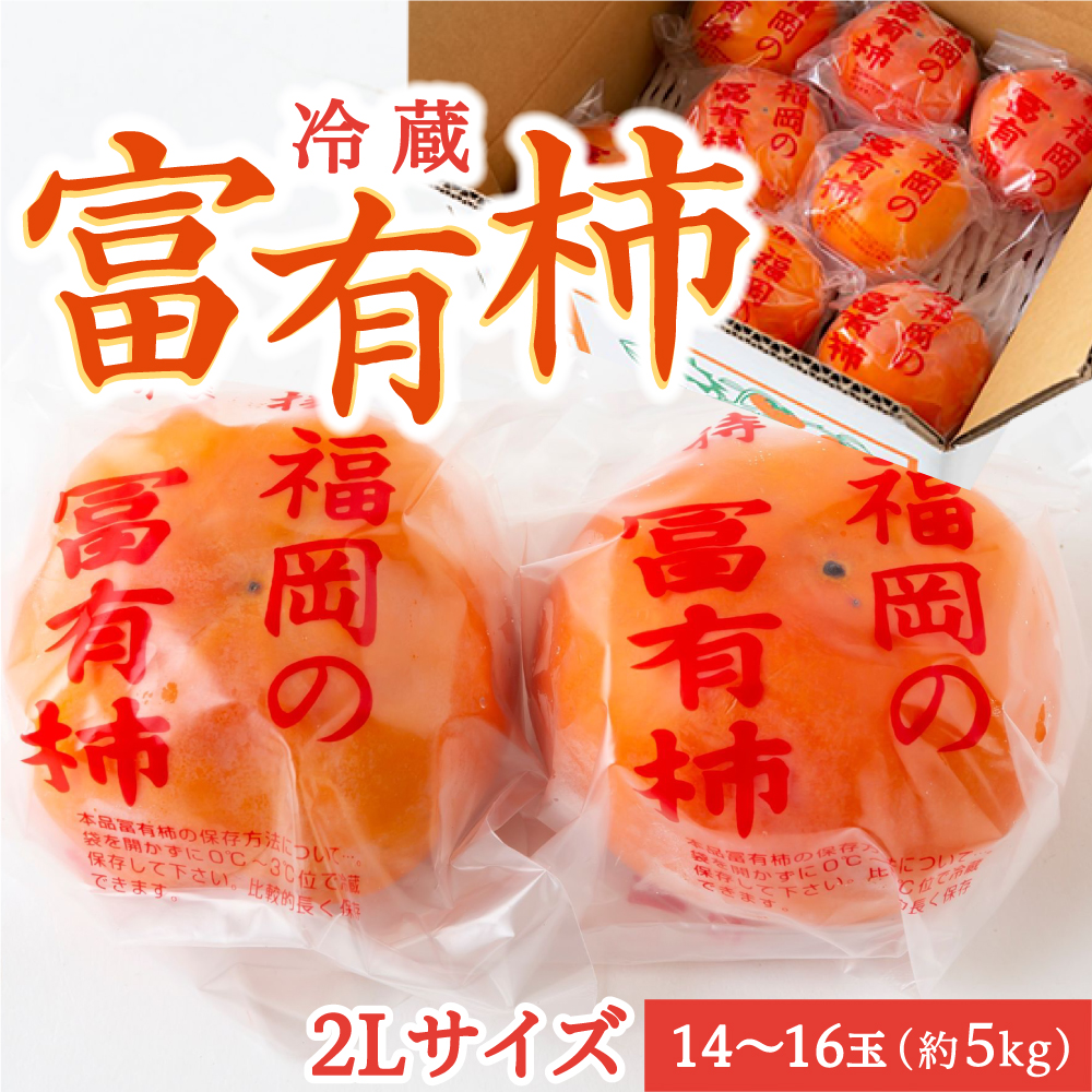 伊藤園 冷蔵富有柿 (2Lサイズ) 14玉から16玉 (約5kg) 2024年12月中旬から12月下旬 出荷予定