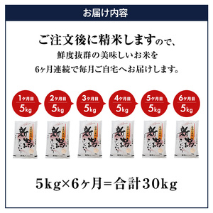 6ヶ月定期便 新米  新潟産 コシヒカリ 5kg 白米 精米 １等米 新潟県産 定期便 お米 5kg  こめ コメ ブランド米 6ヶ月 半年 6回