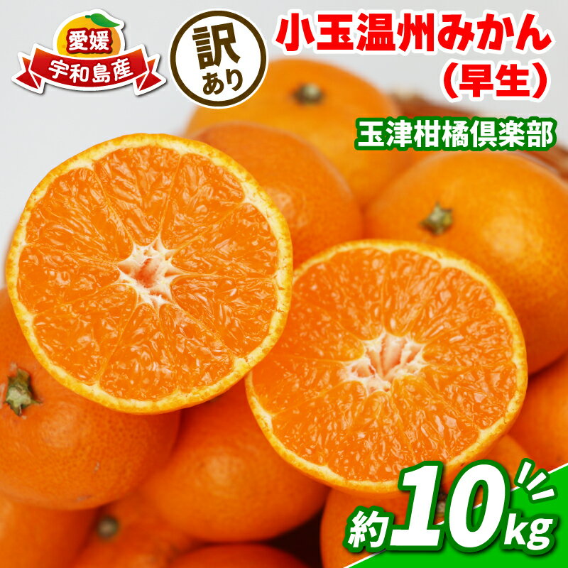 【ふるさと納税】 蜜柑 訳あり 小玉 温州みかん 早生 10kg 玉津柑橘倶楽部 早生温州 温州 みかん 早生みかん 小玉みかん 甘い 糖度 果物 くだもの フルーツ 柑橘 mikan 蜜柑 愛媛蜜柑 愛媛みかん わけあり サイズ 不揃い 産地直送 数量限定 国産 愛媛 宇和島B010-072030