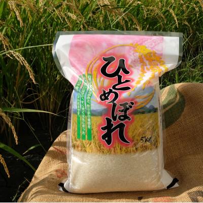 ふるさと納税 大和高田市 【令和7年産】奈良県産 ひとめぼれ 精米 10kg ( 5kg×2 ) |  | 01