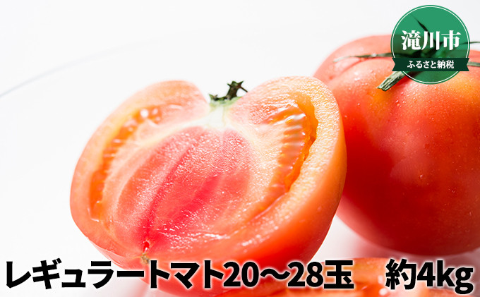 
北海道産 レギュラートマト 20～28玉 約4kg＜2024年7月中旬～順次出荷＞｜北海道 滝川市 トマト 野菜 とまと 2024年発送 先行受付 やさい
