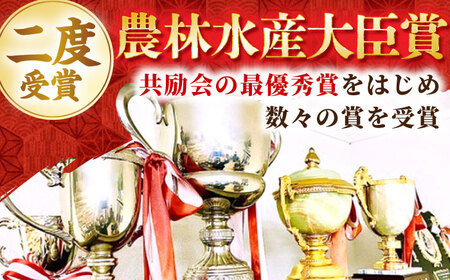 【2度の農林水産大臣賞】佐賀牛 肩ロース スライス 300g【田中畜産牛肉店】佐賀牛 牛肉 黒毛和牛 佐賀牛 牛肉 霜降り 佐賀牛 牛肉 しゃぶしゃぶ 佐賀牛 牛肉 すき焼き 佐賀牛 牛肉 肩ロース 
