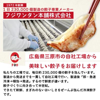 ふるさと納税 三原市 paoの無添加餃子「大地のめぐみ 野菜ぎょうざ」840g(約40個) [058-007] |  | 03