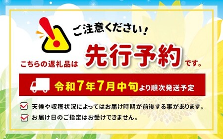 長野県 南信州産 桃 あかつき【2025年先行受付】3kg やまやす中島農園 | 果物 くだもの フルーツ 桃 もも あかつき ジューシー 長野県 飯田市 信州