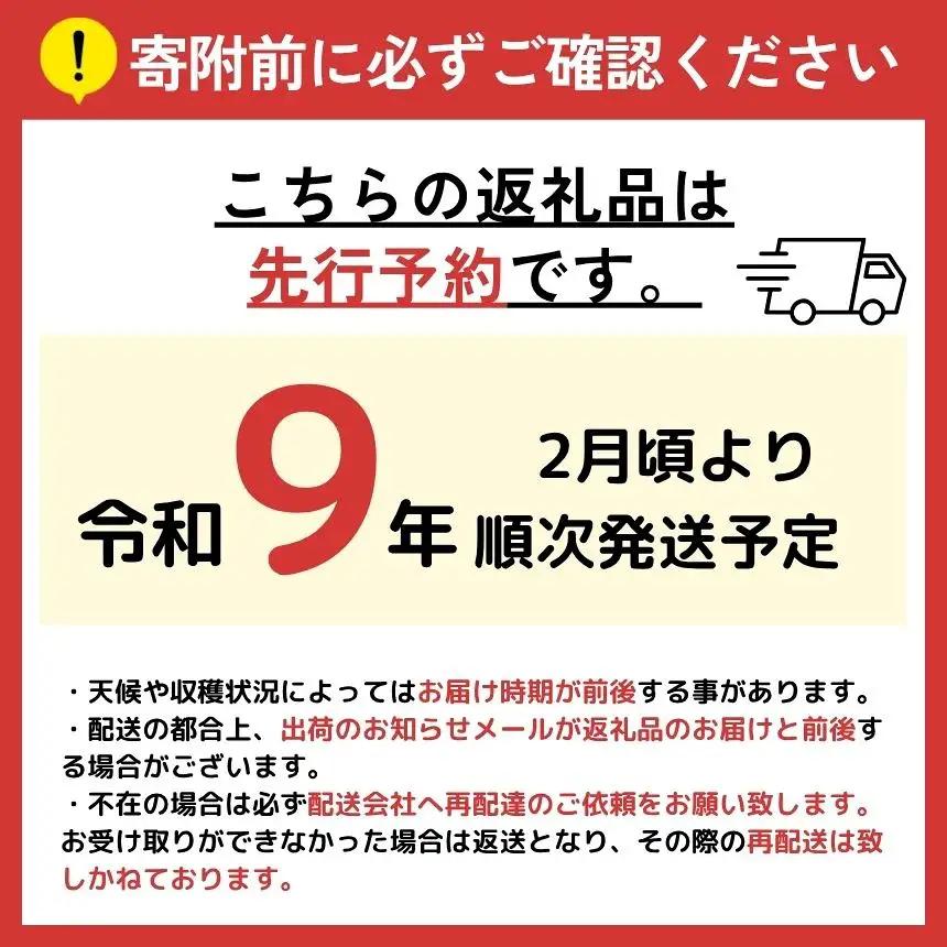 【 先行予約 】【訳あり】ご家庭用 不知火 約 10kg 熊本県産 和水町