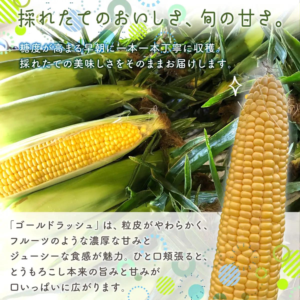 【先行予約】とうもろこし ゴールドラッシュ（2026年8月上旬頃より順次発送） ABCA001