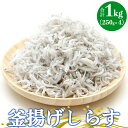 【ふるさと納税】土佐名産 釜揚げしらす 合計1kg（約250g×4）- 釜揚げ シラス じゃこ おかず ご飯のお供 食事 丼 おつまみ 酒の肴 魚 和食 ギフト 贈答 贈り物 送料無料 高知県 香南市【冷凍】 tk-0012