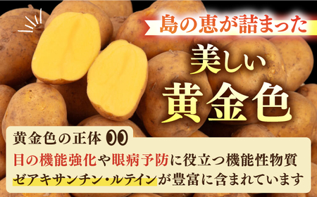 【先行予約】壱岐黄金じゃがいも 5kg【2026年7月中に発送】《壱岐市》【壱岐市農業協同組合】[JBO139] じゃがいも 旬野菜