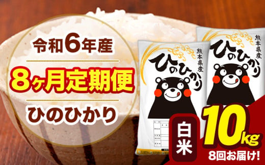 令和6年産 【8ヶ月定期便】 白米 米 ひのひかり 10kg《お申し込み月の翌月から出荷開始》熊本県 大津町 国産 熊本県産 白米 送料無料 ヒノヒカリ こめ お米