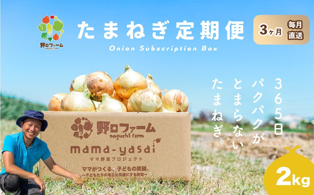 
            【3回定期便】mama-yasai たまねぎ２kg
          