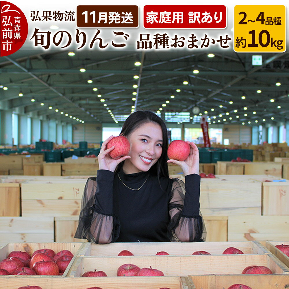 【ふるさと納税】りんご【11月発送】家庭用 訳あり 旬のりんご 品種おまかせ 約10kg 2品種〜4品種