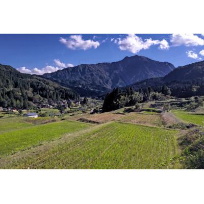 ふるさと納税 糸魚川市 新潟県産 糸魚川産  令和6年産 いのちの壱 100% 精米 3kg×2 |  | 02