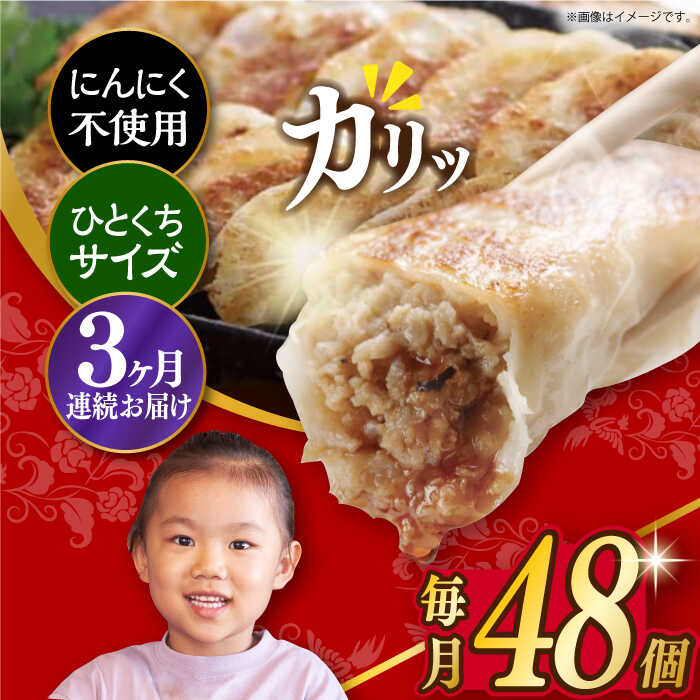 【ふるさと納税】【簡易包装】【3回定期便】三代目長崎ぎょうざ48個（12個入×4袋） 長与町/岩崎本舗 [EAB046] 餃子 ニンニク無し 不使用 定期便 定期 3回 3ヶ月