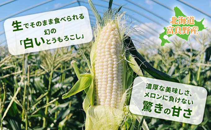 【2024年夏発送】北海道 富良野産 ホワイトショコラ 2Lサイズ 10本 露地栽培 白い とうもろこし (山本農園)