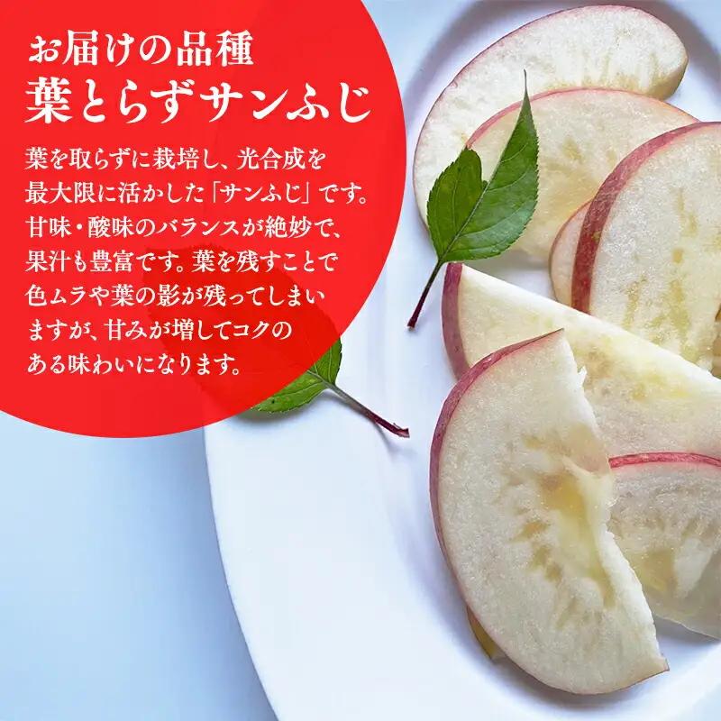 りんご  家庭用 葉取らずサンふじ 約5kg 青森県平川市産　[hi-0036-013]
