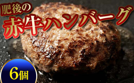 肥後の赤牛ハンバーグ150g×6個 FKP9-594