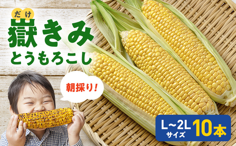 
            【8月より発送】 朝採り 嶽きみ ( だけきみ ) 10本 【 フルーツのような とうもろこし トウモロコシ コーン 甘い 美味しい 高糖度 糖度18度 野菜 夏野菜 青森 青森県 弘前 弘前市 】※オンライン決済のみ
          