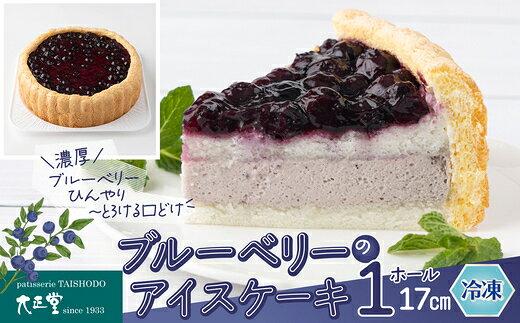 【ふるさと納税】ブルーベリーのアイスケーキ（ホール17cm） おやつ お菓子 スイーツ 冷凍 食品 お取り寄せ お取り寄せグルメ 秋田県 大館市 送料無料 【60P5621】【大正堂((株)ダスキン北秋)】