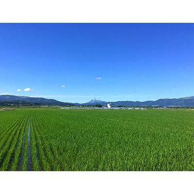 ふるさと納税 北斗市 令和6年産[北斗市産特別栽培米(白米)]ゆめぴりか・ななつぼし・ふっくりんこ各2kg　精米したて |  | 02