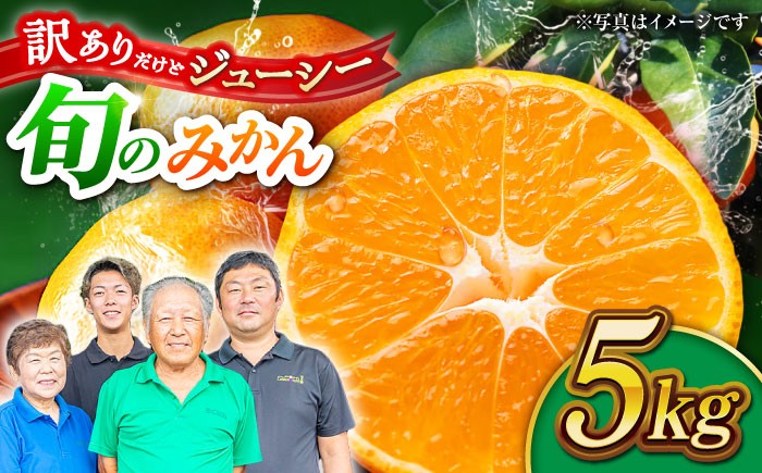 
                  訳ありみかん【先行予約】【訳あり】家庭用みかん 約5kg 詰め合わせ 柑橘【合同会社 社方園】 [ZBZ021]
                