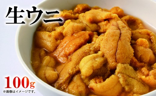 生ウニ 100g ミョウバン不使用 冷蔵 添加物無添加 ムラサキウニ 季節限定 生うに 生雲丹  天然 海鮮丼 寿司 ウニ丼 刺身 直送 災害 被災 震災 火災 山火事 支援 岩手県 三陸 大船渡市