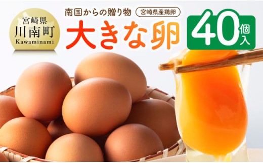 宮崎県産鶏卵　「南国からの贈り物」大きな卵40個入り（35個+破損補償5個） 【 卵 たまご 新鮮 おうちごはん タマゴ おうち時間 】
