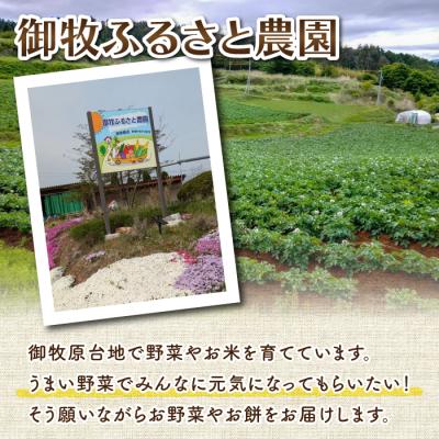 ふるさと納税 東御市 【先行受付2025年発送】御牧の好米人(コシヒカリ)白米5kg |  | 02