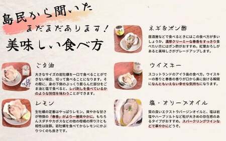 【2026年 3月以降順次お届け】【生のいわがき春香 SSサイズ6個】 岩牡蠣 生牡蠣 牡蠣 いわがき春香 生食可 旬の時期だけ