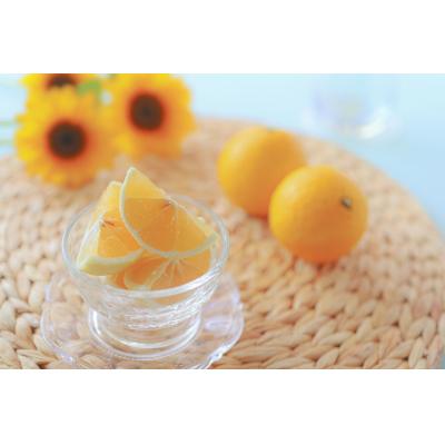 ふるさと納税 高知県 高知の果物定期便(春〜夏)【E06015】 |  | 01