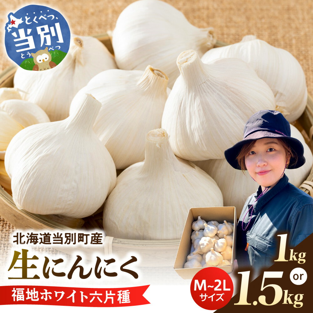 【ふるさと納税】（令和8年先行受付）生にんにく（福地ホワイト六片種）1kg or 1.5kgにんにく 福地ホワイト 1000g 1500g　北海道産 国産 スパイス ガーリック お肉 肉 アヒージョ 便利 普段使い 万能 調味料 焼肉 BBQ