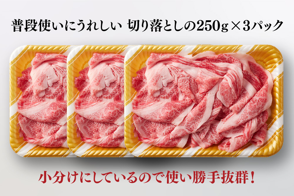 艶さし!【A4～A5】佐賀牛大判霜降り贅沢切り落とし 750g(250g×3P)【佐賀牛 切り落とし 霜降り 肩ロース 大判 一枚肉 薄切り 250g 小分け】(H112341)